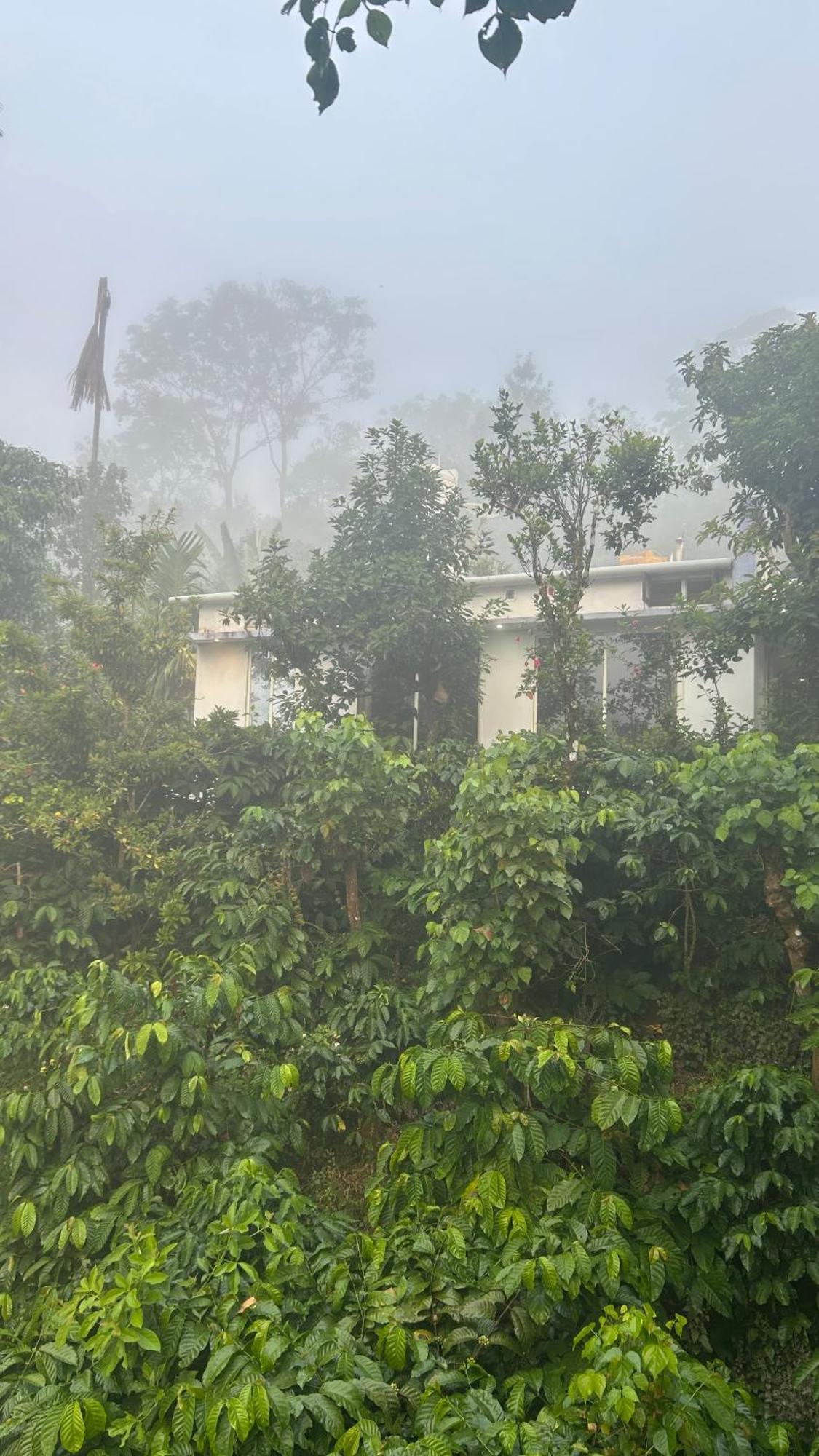 Doddakallu Betta Homestay Coorg Somvārpet Exterior foto